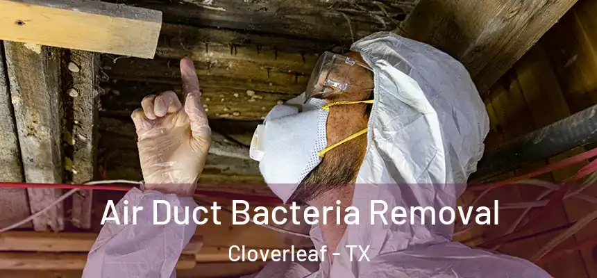 Air Duct Bacteria Removal Cloverleaf - TX
