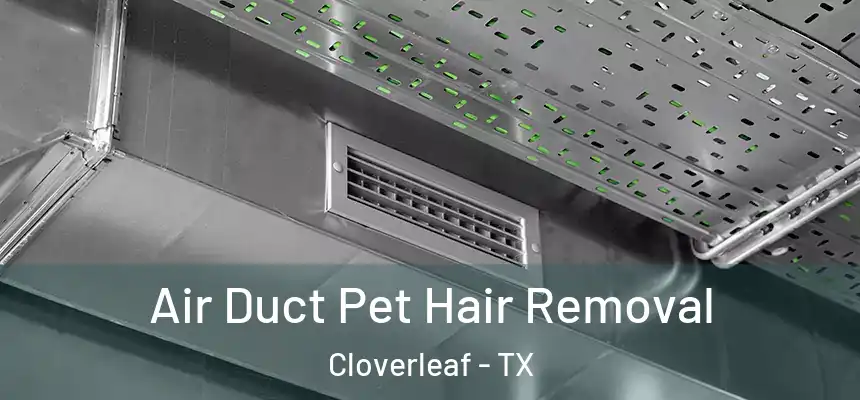  Air Duct Pet Hair Removal Cloverleaf - TX
