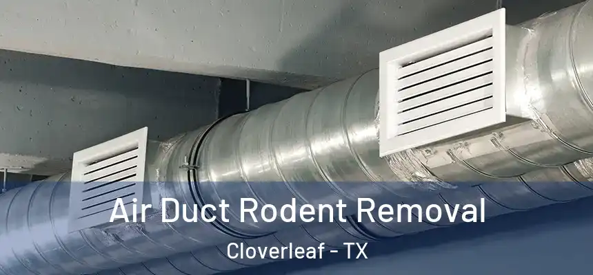 Air Duct Rodent Removal Cloverleaf - TX