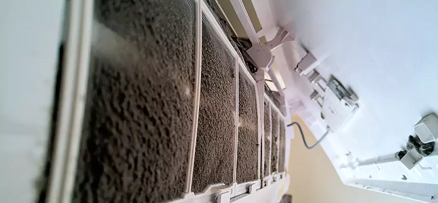 Preventive Air Duct Bacteria Removal in Cloverleaf