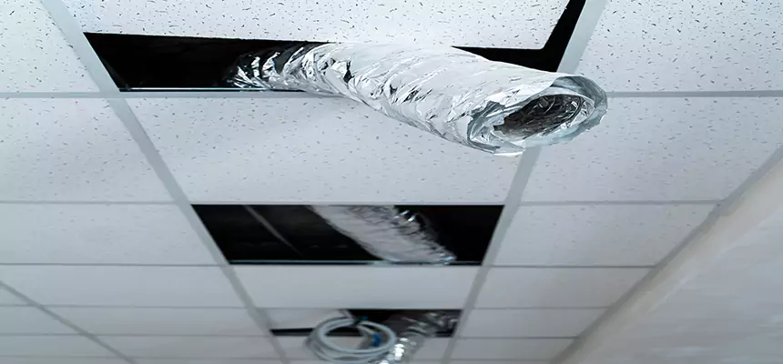 Affordable HVAC Sanitizing After Pest Removal in Cloverleaf