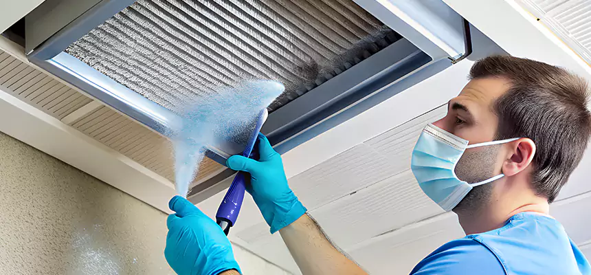 Proactive Dryer Vent & Auxiliary Duct Pollen Cleanup in Cloverleaf, TX