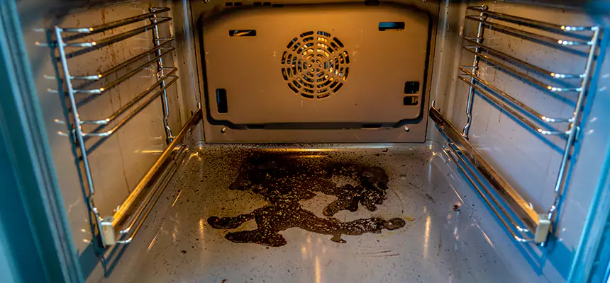 Our Dryer Vent Mold Cleaning Services in Cloverleaf, TX