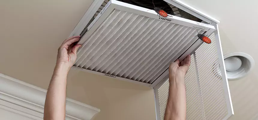 Our Insect Removal from Air Ducts Services in Cloverleaf, TX
