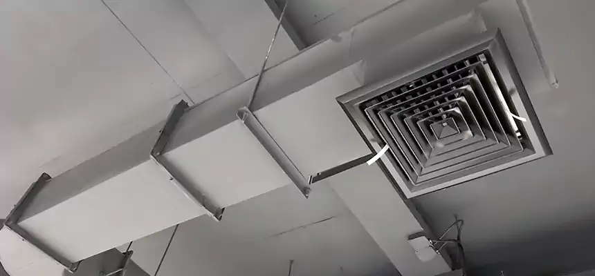 Our Pest Removal From Ducts Services in Cloverleaf, TX