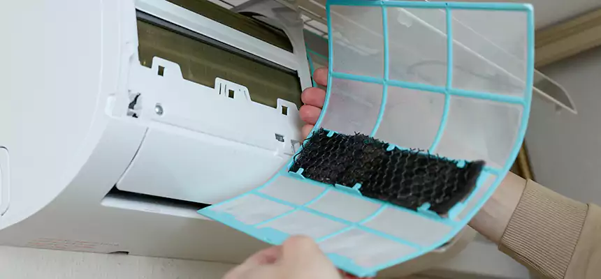 Gentle Ductwork Odor-Control Pet Dander Duct Cleaning in Cloverleaf, TX