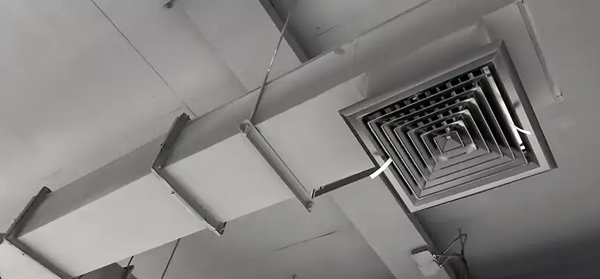 Our Rodent Droppings In Vents Services in Cloverleaf, TX