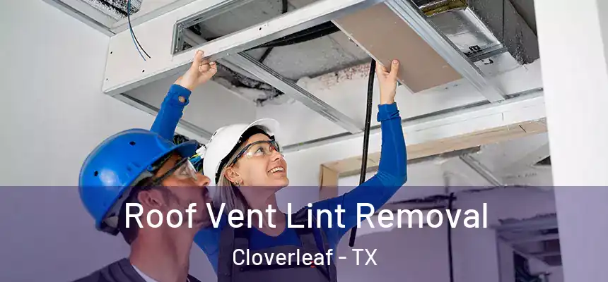 Roof Vent Lint Removal Cloverleaf - TX
