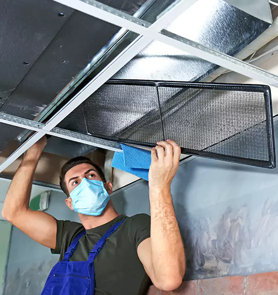 About Air Duct Bacteria Removal in Cloverleaf