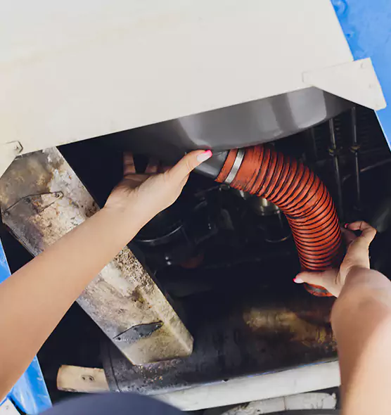 About Air Duct Virus Disinfection in Cloverleaf, TX