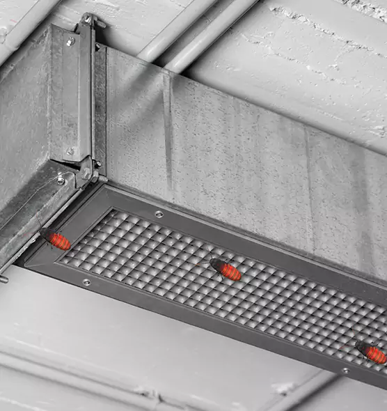 Affordable Insect Removal from Air Ducts in Cloverleaf, TX