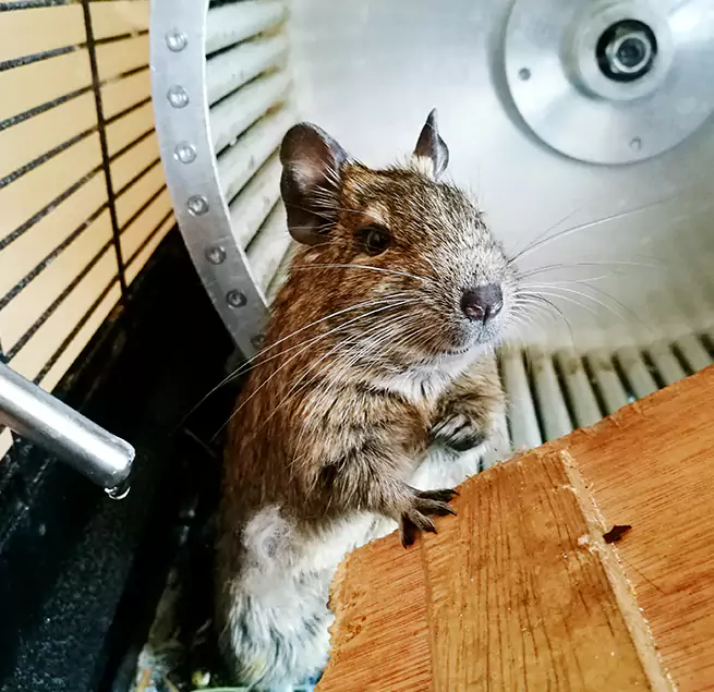 Why Homeowners & Businesses Trust Us Cloverleaf, TX