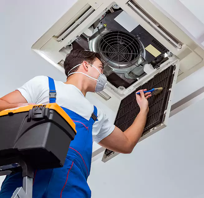 Why Homeowners & Businesses Trust Us in Cloverleaf, TX