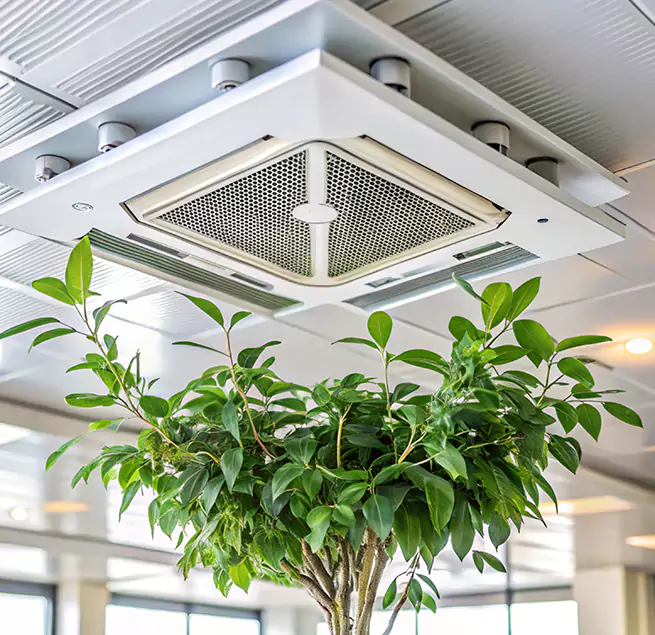 Why Homeowners & Businesses Trust Us in Cloverleaf, TX?