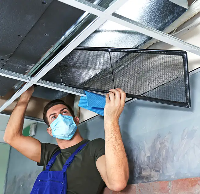 Why Homeowners & Businesses Trust Us in Cloverleaf, TX?